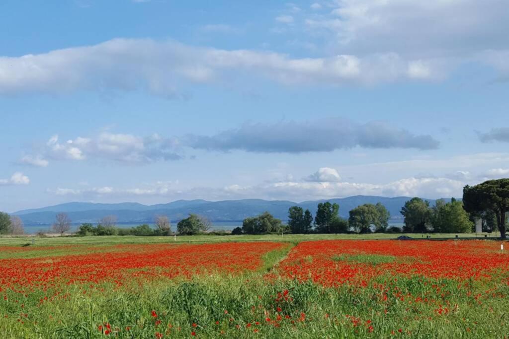 Bellavista La Tua Romantica Vacanza Sul Trasimeno Castiglione del Lago Luaran gambar
