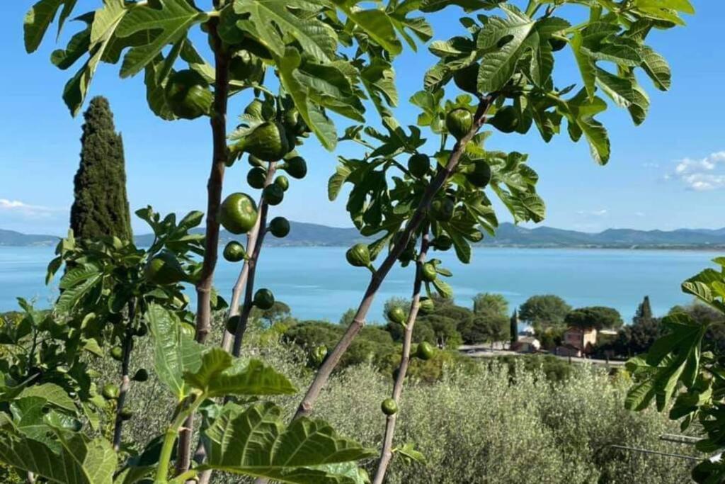 Bellavista La Tua Romantica Vacanza Sul Trasimeno Castiglione del Lago Luaran gambar