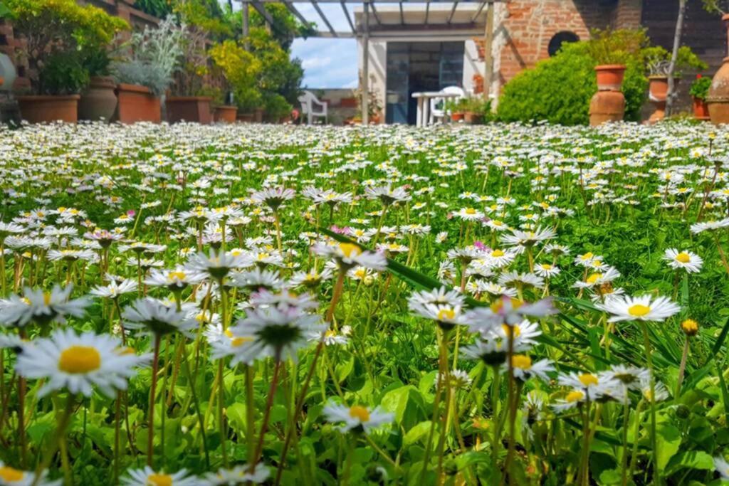 Bellavista La Tua Romantica Vacanza Sul Trasimeno Apartment Castiglione del Lago Luaran gambar