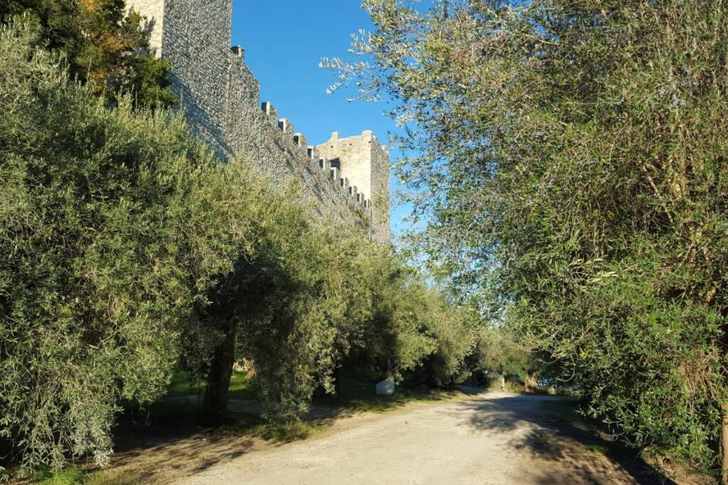 Bellavista La Tua Romantica Vacanza Sul Trasimeno Castiglione del Lago Luaran gambar