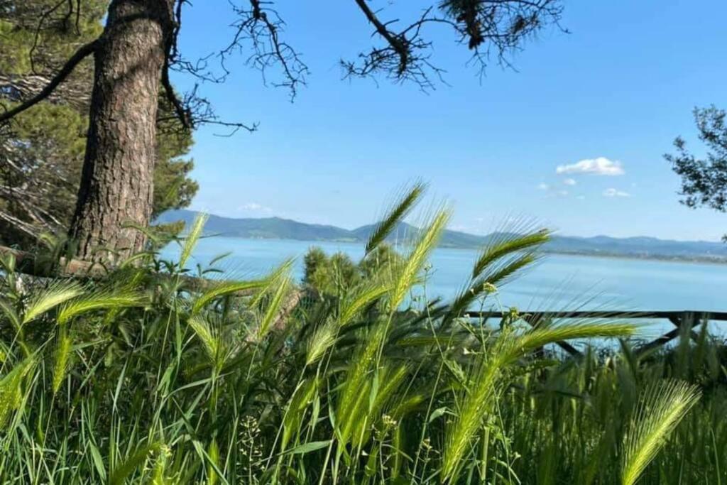 Bellavista La Tua Romantica Vacanza Sul Trasimeno Castiglione del Lago Luaran gambar