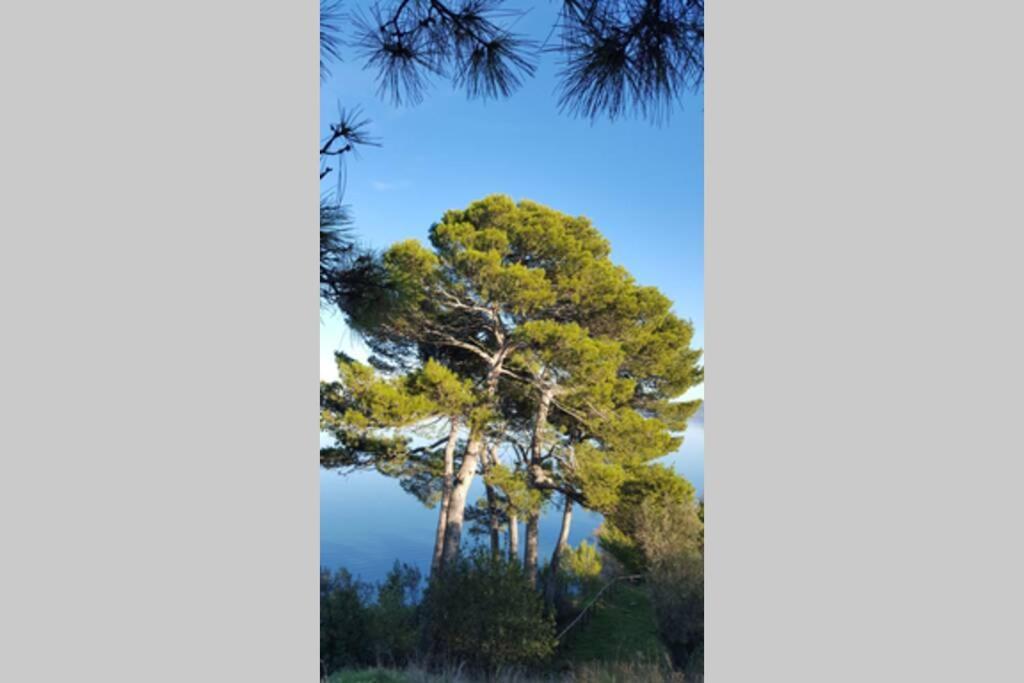 Bellavista La Tua Romantica Vacanza Sul Trasimeno Castiglione del Lago Luaran gambar