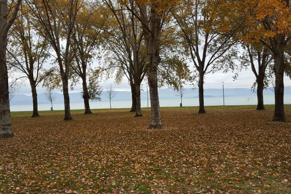 Bellavista La Tua Romantica Vacanza Sul Trasimeno Castiglione del Lago Luaran gambar
