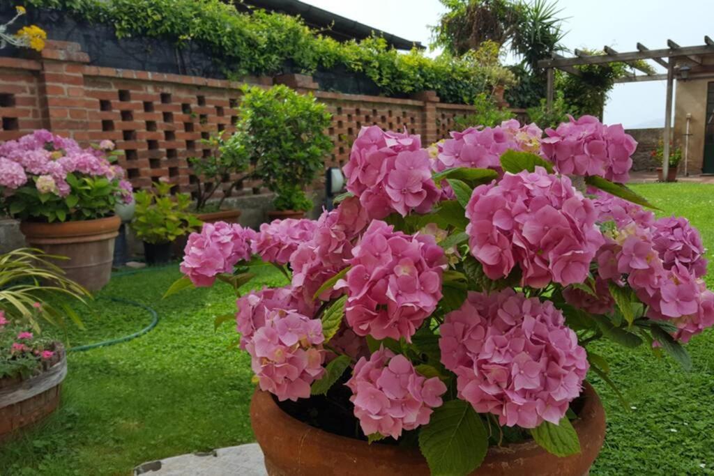 Bellavista La Tua Romantica Vacanza Sul Trasimeno Castiglione del Lago Luaran gambar