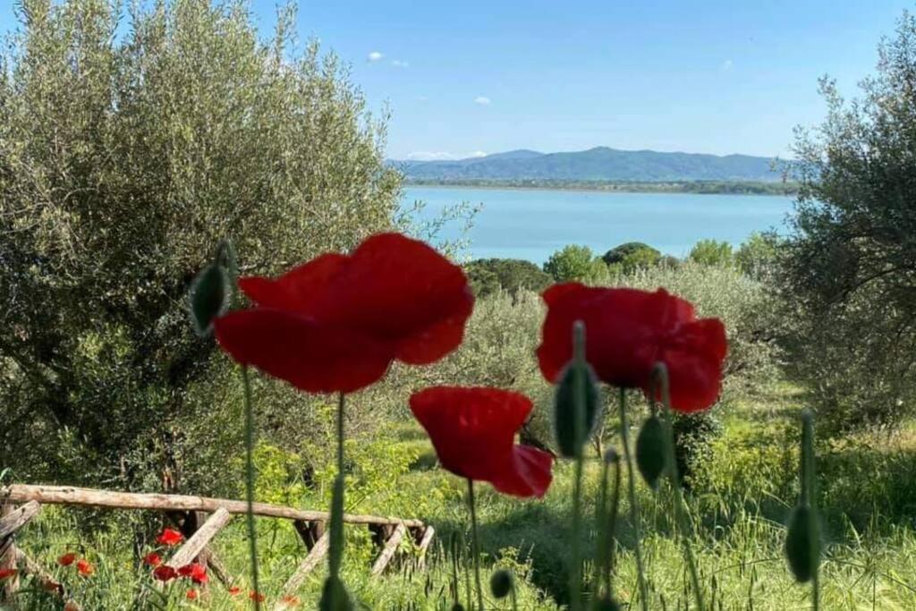 Bellavista La Tua Romantica Vacanza Sul Trasimeno Castiglione del Lago Luaran gambar