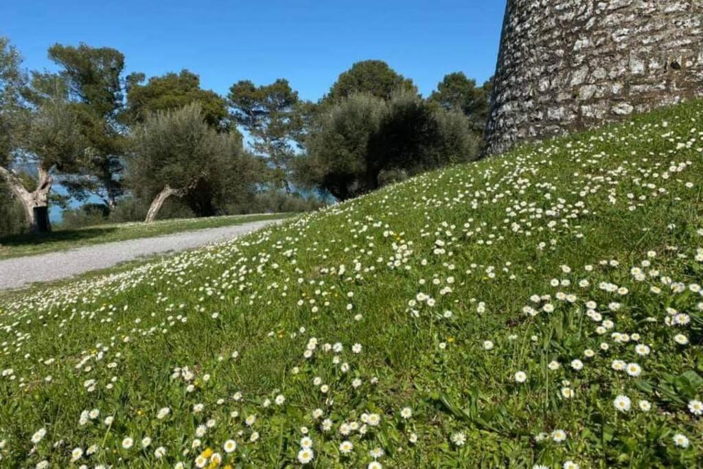Bellavista La Tua Romantica Vacanza Sul Trasimeno Castiglione del Lago Luaran gambar