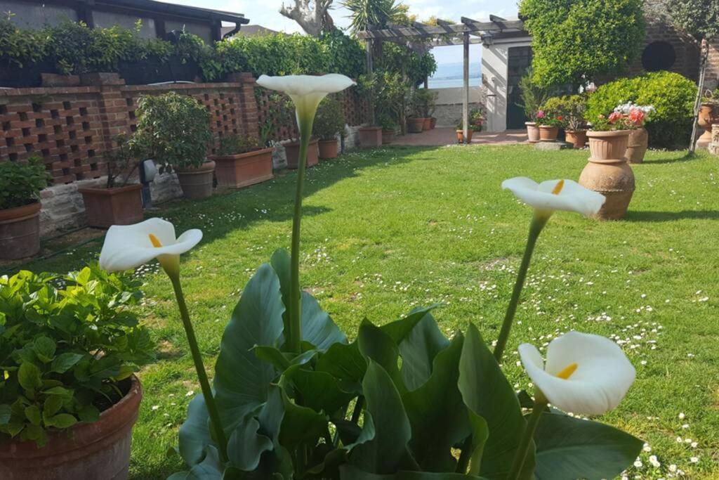 Bellavista La Tua Romantica Vacanza Sul Trasimeno Castiglione del Lago Luaran gambar
