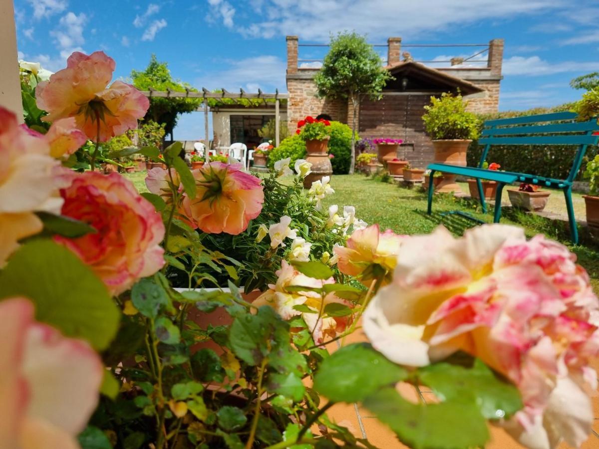 Bellavista La Tua Romantica Vacanza Sul Trasimeno Castiglione del Lago Luaran gambar