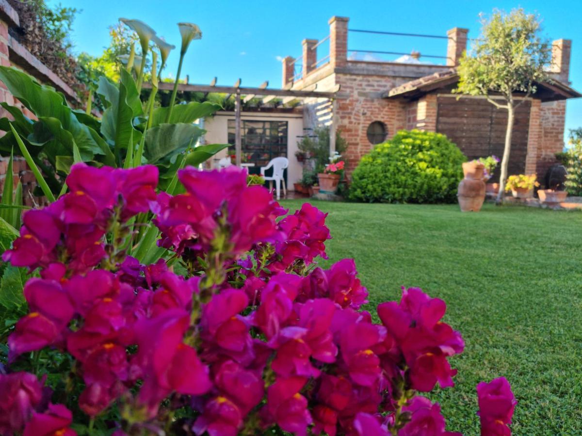 Bellavista La Tua Romantica Vacanza Sul Trasimeno Castiglione del Lago Luaran gambar